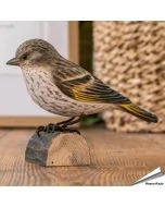 Houtgesneden vogel in de vorm van een Dennensijs is een mooie decoratie waar het hele gezin dol op zal zijn ✔️ Levensecht vorm- en kleur gegeven model ➤ Koop nu online bij Aniculis