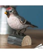 Grote barmsijs (Acanthis flammea) - Decobird van Wildlife Garden - Koop online op Aniculis