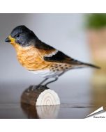 Keep (Fringilla montifringilla) - Decobird van Wildlife Garden - Koop online op Aniculis