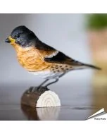 Keep (Fringilla montifringilla) - Decobird van Wildlife Garden - Koop online op Aniculis