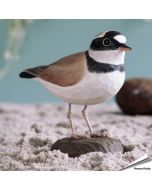 Kleine plevier (Charadrius dubius) - Decobird van Wildlife Garden - Koop online bij Aniculis