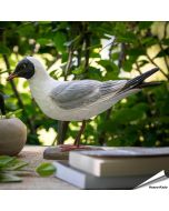 Houtgesneden vogel in de vorm van een Kokmeeuw is een mooie decoratie waar het hele gezin dol op zal zijn ✔️ Levensecht vorm- en kleur gegeven model ➤ Koop nu online bij Aniculis