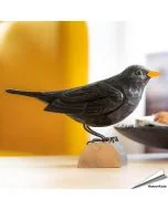 Handgemaakte DecoBird merel van hout kopen? Natuurgetrouwe vogel decoratie van Wildlife Garden. Uniek cadeau voor vogelliefhebbers - Aniculis