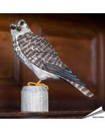 Houtgesneden vogel in de vorm van een Smelleken is een mooie decoratie waar het hele gezin dol op zal zijn ✔️ Levensecht vorm- en kleur gegeven model ➤ Koop nu online bij Aniculis