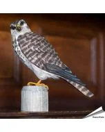 Houtgesneden vogel in de vorm van een Smelleken is een mooie decoratie waar het hele gezin dol op zal zijn ✔️ Levensecht vorm- en kleur gegeven model ➤ Koop nu online bij Aniculis