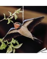 DecoBird - Boerenzwaluw | Houtgesneden vogel | lindenhout - Aniculis