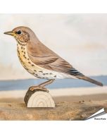 Zanglijster (Turdus philomelos) - Decobird van Wildlife Garden - Koop online op Aniculis