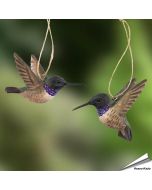 Houtgesneden DecoBirds | Zwartkinkolibries | Wildlife Garden