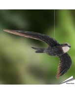 DecoBird - Gierzwaluw | Houtgesneden vogel | lindenhout
