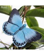 DecoButterfly Boomblauwtje van Wildlife Garden. Handgesneden houten koelkastmagneet met helderblauwe vleugels en draad voor planten en bloemen.