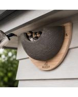 Bescherm de huiszwaluw met een enkele nestkast van Aniculis.nl. Koop online & help de huiszwaluwpopulatie te vergroten.