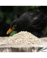 Gehakte zonnebloemkernen (gepelde zonnebloempitten) voor vogels - Aniculis