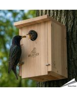 Nestkast voor de spreeuw en grote bonte specht ✔️ Onbehandeld massief hout ✔️ Geschikt voor grote holenbroeders ✔️ Weerbestendig ➤ Koop nu bij www.aniculis.nl