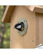 Bescherm je nestkast tegen uithakken met ons invliegplaatje (rozet) ✔️ Verkleint de invliegopening op 32mm ✔️ Gemaakt van roestvrij staal ✔️ Geschikt voor koolmezen en andere tuinvogels ✔️ Bestel nu op Aniculis