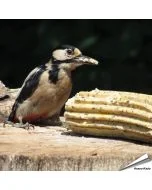 Jumbo vetrol met insecten van 500 gram met verpakking