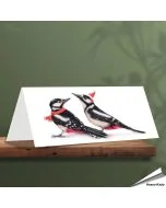 Kerstkaart met leuke spechten - Voor natuurliefhebbers - www.aniculis.nl