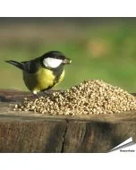 Kempzaad - Tuinvogelvoer voor wilde vogels - Aniculis.nl