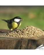 Kempzaad - Tuinvogelvoer voor wilde vogels - Aniculis.NL