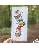 Vrolijke kerstkaart met kleurrijke, bekende tuinvogels ✔️ Gedrukt op FSC-gecertificeerd papier ✔️ Inclusief kraft envelop ➤ Bestel nu bij Hoezo-Kado