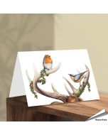 Kerstkaart met een leuke Roodborst, Boomklever en gewei - www.aniculis.nl