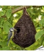 Nestbuidel Holenbroeders