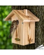 Nestkast Anson ✔️ 34 mm opening voor mussen & boomklever ✔️ FSC 100% hout ✔️ Aanbevolen door Vogelbescherming ➤ Bestel op www.aniculis.nl