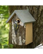 Berken nestkast met natuurlijke uitstraling ✔️ Bootst een natuurlijke boomholte na ✔️ Ideaal voor tuinvogels zoals de pimpelmees ➤ Ontdek meer bij Aniculis