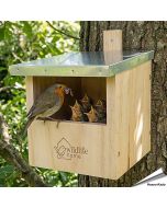 Nestkast voor roodborstjes: help deze vogels een nestje te bouwen! Aniculis