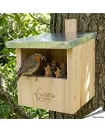Nestkast voor roodborstjes: help deze vogels een nestje te bouwen! Aniculis