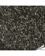 Nigerzaad (Negerzaad, Nyjer) voor vogels ✔️ Voor tuinvogels, exotische vogels, parkieten en kanaries ✔️ Natuurlijke bron van eiwitten en vetten ✔️ Bestel nu direct op www.aniculis.nl