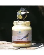 Speciale Vogelbescherming pindakaas voor tuinvogels - Original ✔️ Geen zout toegevoegd ✔️ Calorierijke lekkernij voor vogels ➤ Nu kopen op www.aniculis.nl