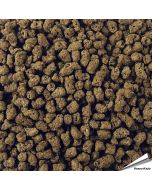 Speciaalvoer voor egels - Graanvrij (500g) | Aniculis