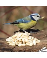 Uiterst hoogwaardige, geblancheerde pinda’s voor vogels ✔️ Rijk aan vezels, oliën en eiwitten ✔️ Energierijk vogelvoer voor het hele jaar ➤ www.aniculis.nl