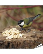 Uiterst hoogwaardige, geblancheerde pinda’s voor vogels ✔️ Rijk aan vezels, oliën en eiwitten ✔️ Energierijk vogelvoer voor het hele jaar ➤ Bestel bij www.aniculis.nl