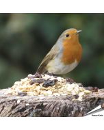 Premium - Vetmengsel voor tuinvogels (1 kg)