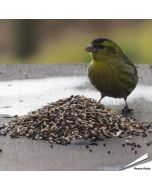 Premium vogelvoer voor tuinvogels ✔️ Veelzijdige zadenmix ✔️ Rijk aan energie en voedingsstoffen ✔️ Fijne structuur ✔️ 100% natuurlijk ➤ Bestel nu direct op www.aniculis.nl