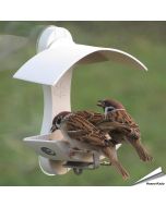 Raamvoederhuis voor wilde vogels - Geliefd bij mussen - www.aniculis.nl