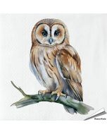 Servetten Bosuil | 20 stuks | FSC & 3-laags | Aniculis