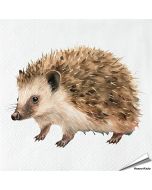 Servetten Egel | 20 stuks | FSC & 3-laags | Aniculis