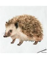 Servetten Egel | 20 stuks | FSC & 3-laags | Aniculis