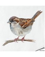 Servetten Huismus | 20 stuks | FSC & 3-laags | Aniculis