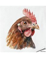 Servetten Kip | 20 stuks | FSC & 3-laags | Aniculis