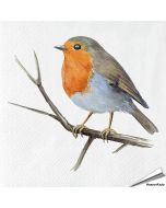 Servetten Roodborst | 20 stuks | FSC & 3-laags | Aniculis