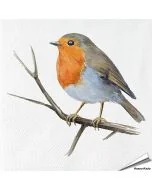 Servetten Roodborst | 20 stuks | FSC & 3-laags | Aniculis