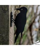 Silhouet - Specht