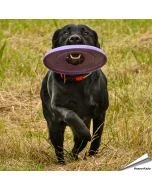 2 toyz - Frisbee voor honden (groot) - speeltje voor honden