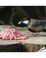 Energierijke vet traktaties met bessen voor tuinvogels ✔️ Ideaal voor het hele jaar door voeren ✔️ Delicatesse voor o.a. merels, roodborstjes... ➤ Online kopen bij Aniculis