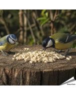 Plantaardige vet pellets vol energie voor tuinvogels ✔️ Ideaal voor het hele jaar door voeren ✔️ Smakelijke traktatie voor roodborstjes en merels ➤ Koop direct op Aniculis.nl