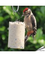 Pindacake met zaden voor tuinvogels ✔️ Calorierijk vogelvoer ✔️ Rijk aan essentiële vetten ✔️ Vogelbescherming Nederland ➤ Nu online kopen bij Aniculis