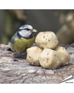 Kleine mezenbollen voor wilde vogels - Tuinvogelvoer - Aniculis